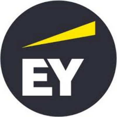 E&Y Ernst and Young grey logo transparent PNG - StickPNG