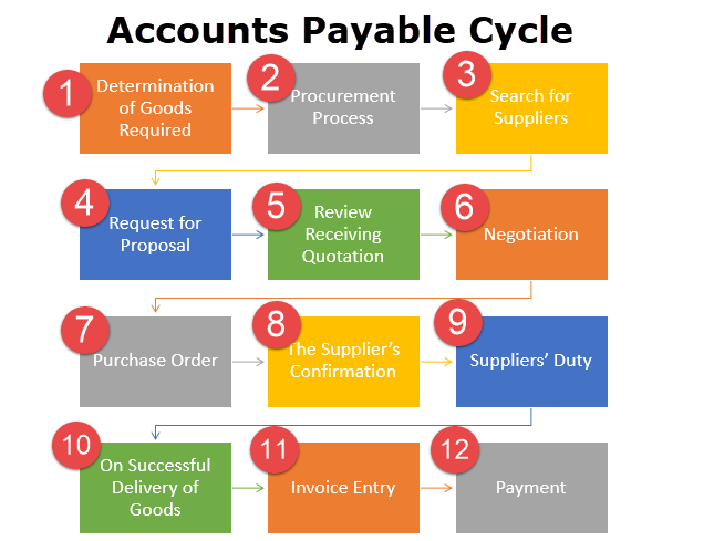 accounts payable cycle