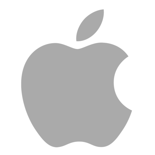 google icon